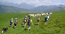 Gîte adapté aux handicaps Pyrénées Germ-Louron